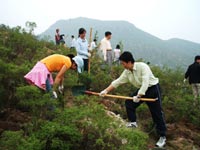 东芝（中国）2007年度公益植树助学活动