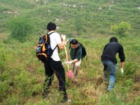 东芝（中国）2007年度公益植树助学活动